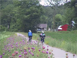 small_010527 katyIMG_9209.webp